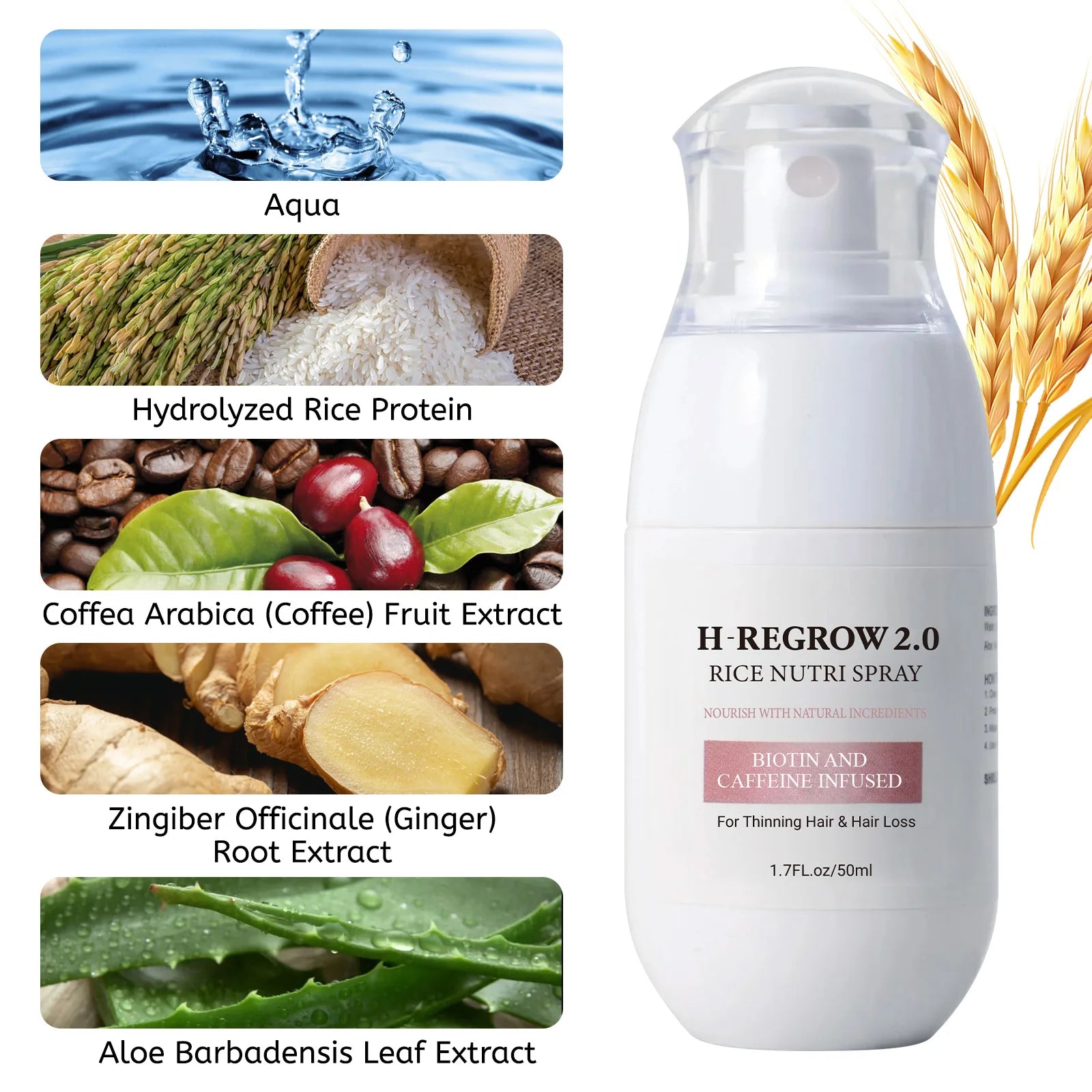 Natural Caffeine Ginger Hair Spray - 50ml premium lysine biotin formula. Anti-hair loss treatment for thicker hair growth.